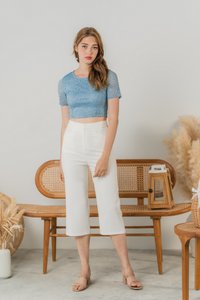 Erica Leafy Lace Crop Top in Sky Blue