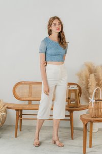 Erica Leafy Lace Crop Top in Sky Blue