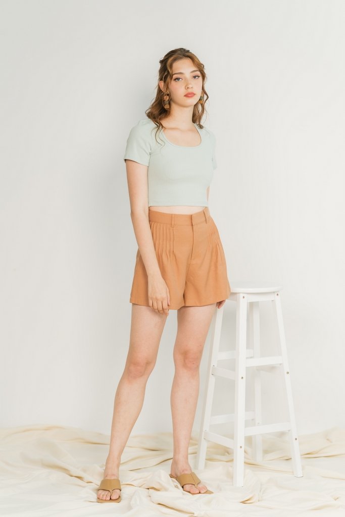Freda Pleated High Waist Shorts in Caramel (XS)