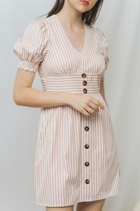 Sarah Striped Button Dress in Pink (XS)
