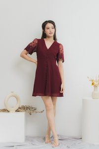 Edgar Swiss Dot Mesh Sleeve Dress in Wine (XS)