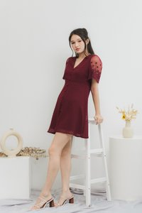 Edgar Swiss Dot Mesh Sleeve Dress in Wine (XS)