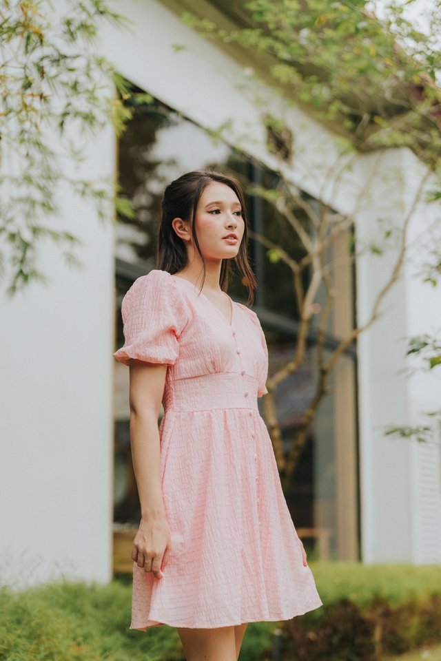 Diane V-Neck Textured Dress in Pink (S)