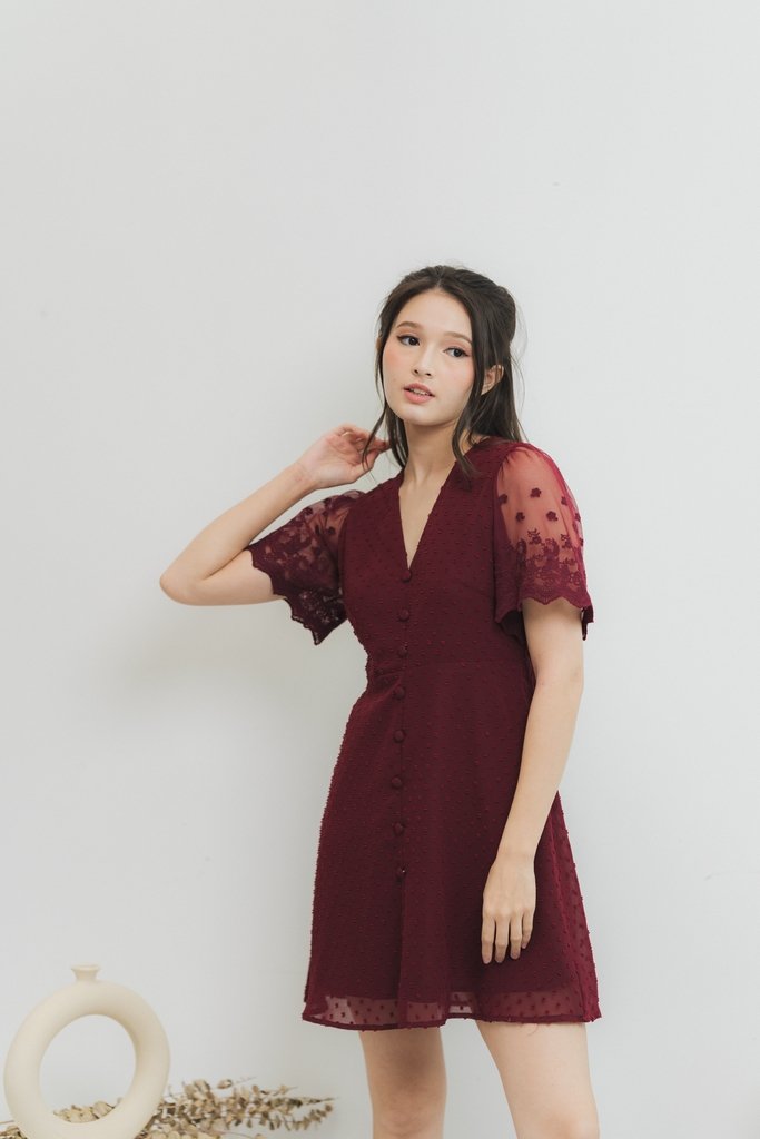 Edgar Swiss Dot Mesh Sleeve Dress in Wine (XS)