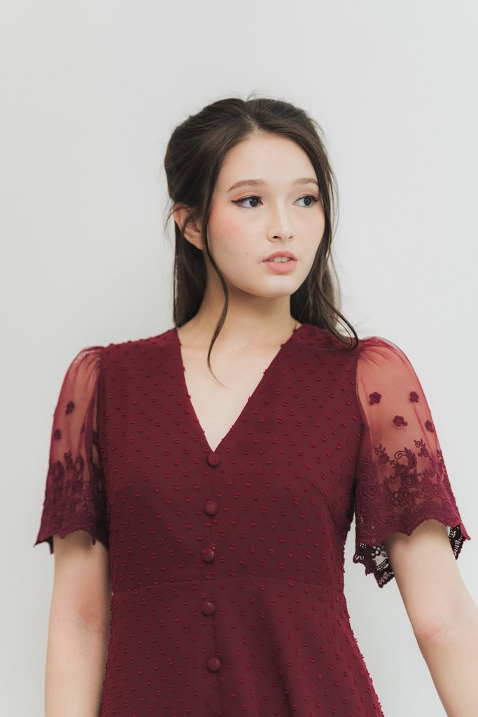 Edgar Swiss Dot Mesh Sleeve Dress in Wine (XS)