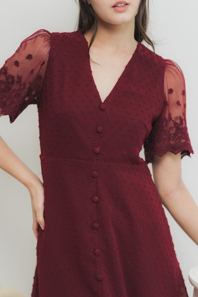 Edgar Swiss Dot Mesh Sleeve Dress in Wine (XS)