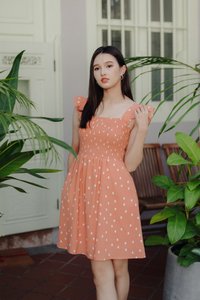 Alexis Rain Drops Smocked Dress in Peach(L)