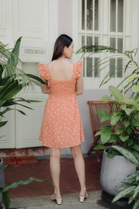 Alexis Rain Drops Smocked Dress in Peach(L)