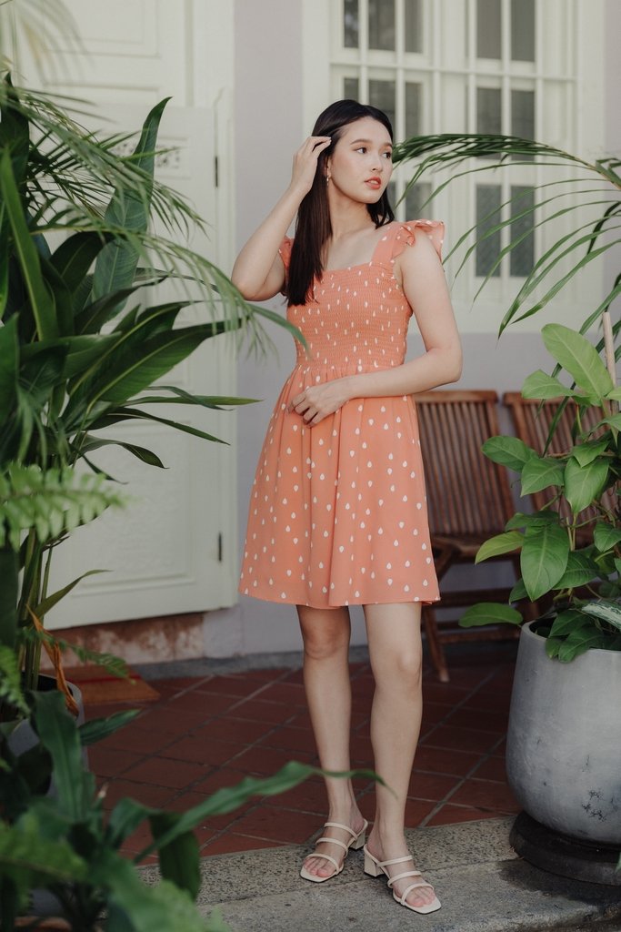 Alexis Rain Drops Smocked Dress in Peach(L)