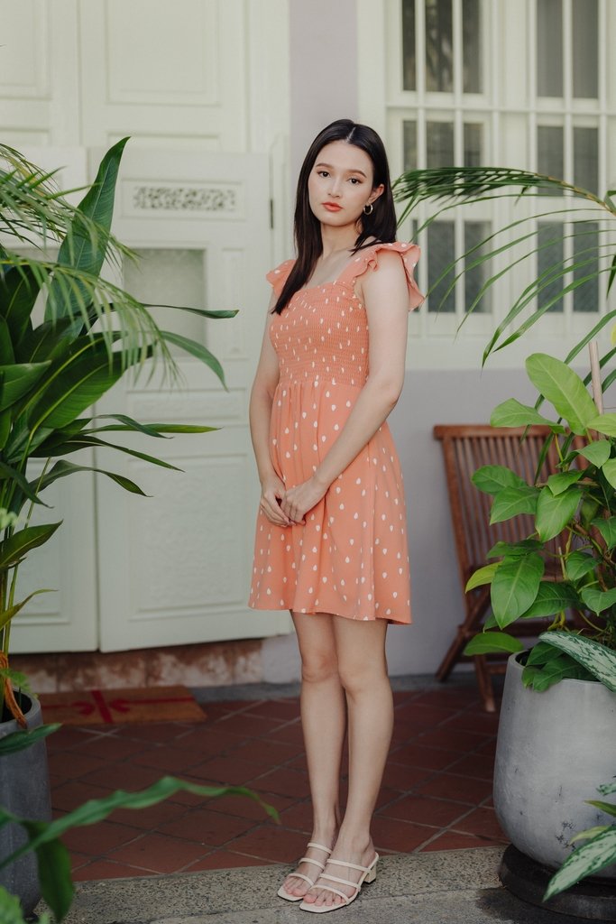 Alexis Rain Drops Smocked Dress in Peach(L)