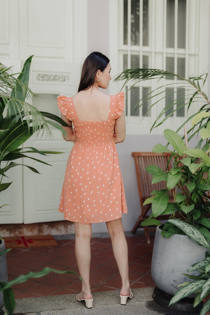 Alexis Rain Drops Smocked Dress in Peach(L)