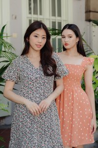 Alexis Rain Drops Smocked Dress in Peach(L)